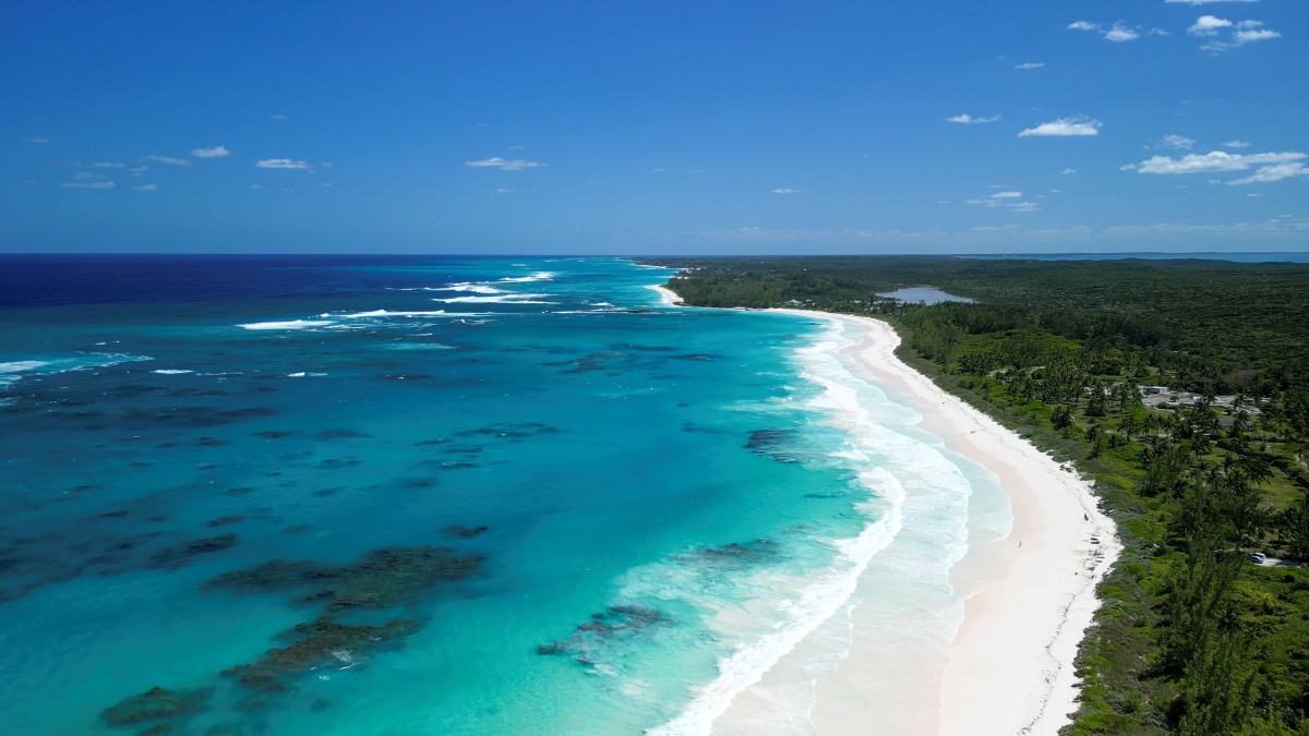 Caribbean Spring